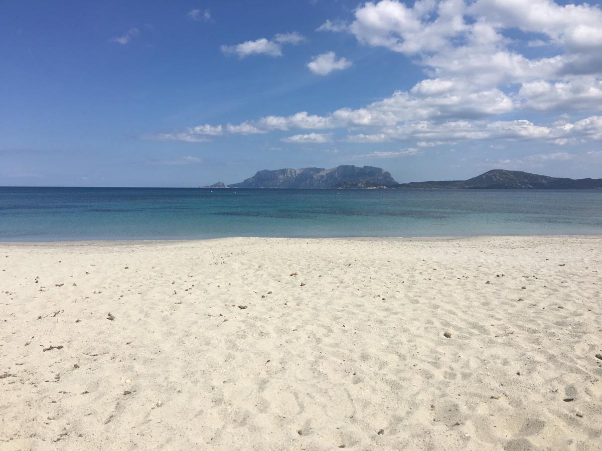 Terranova 3*